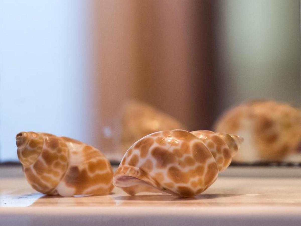 Manoleas Villas - Apartment 2 Stoúpa エクステリア 写真